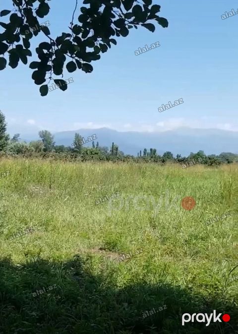 100 sot, Mülkiyyətçi, Kupça (Çıxarış) — Zaqatala