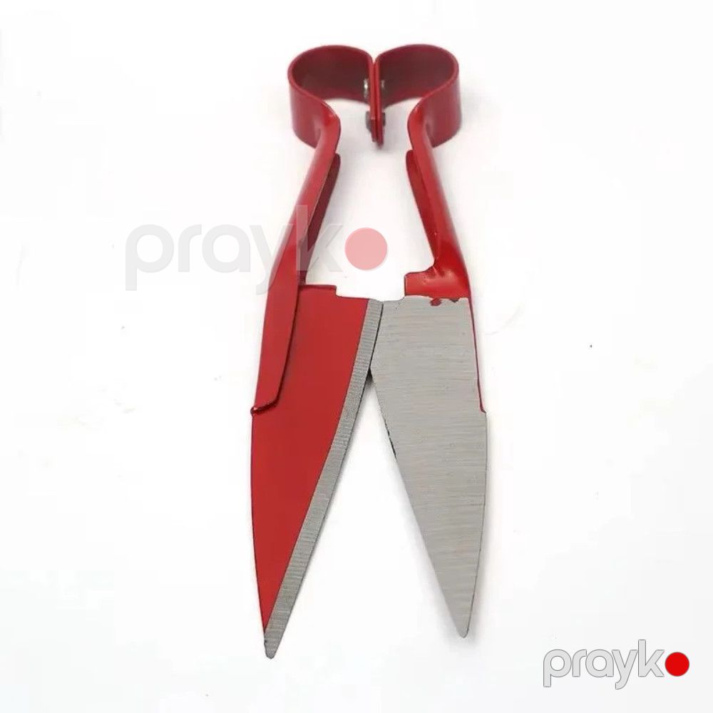 Qayçı qoyun qırxmaq üçün İL-2511 — Mallar, Bakı (3)