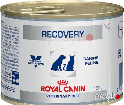Konserv Royal Canin Recovery pişiklər və itlər üçün, 195 q — Bakı