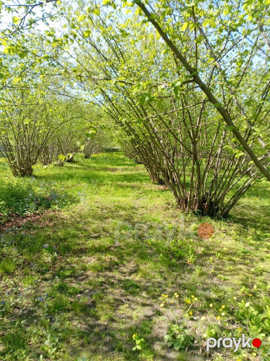 30 sot torpaq sahəsi, Oğuz r — Torpaq, Oğuz (2)