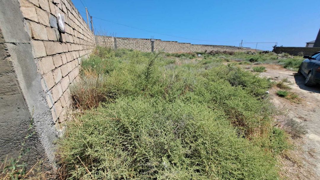Satılır torpaq 13 sot — Torpaq, Bakı (3)