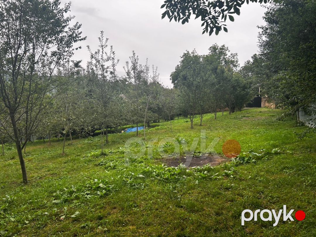 25 sot torpaq sahəsi, Quba r — Torpaq, Quba (5)