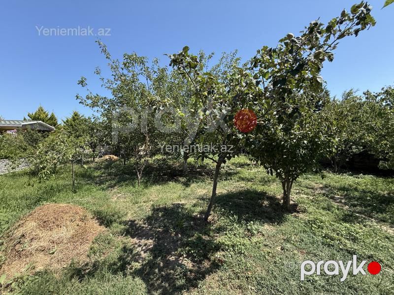 Satılır 6 otaqlı Həyət evi / Villa, 250 m², Novxanı — Ev, villa, Abşeron (10)