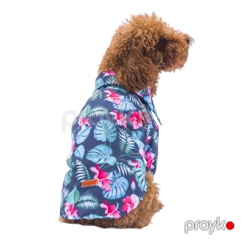 Köynək Floral Patterned itlər üçün, 2XL, rəngbərəng — Bakı