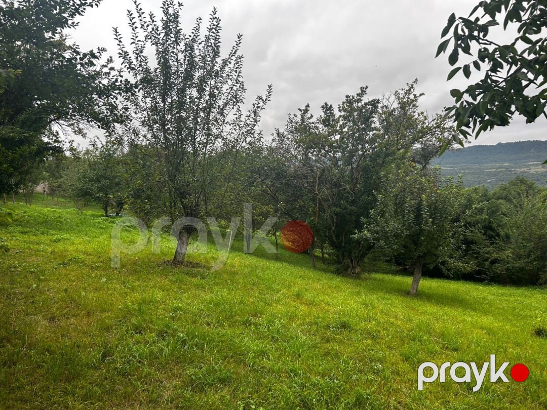 25 sot torpaq sahəsi, Quba r — Torpaq, Quba (11)