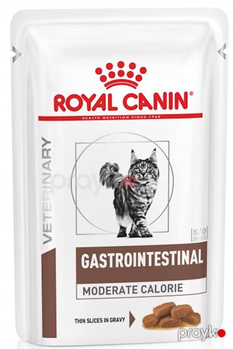 Pəhriz qidası Royal Canin Gastrointestinal pişiklər üçün, 85 q — Bakı