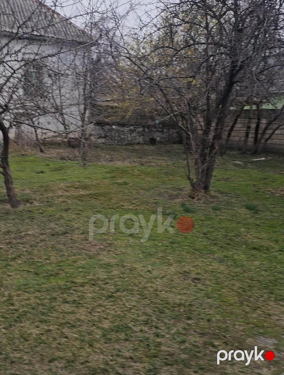 2 sot torpaq sahəsi, Qəbələ ş — Torpaq, Qəbələ (4)
