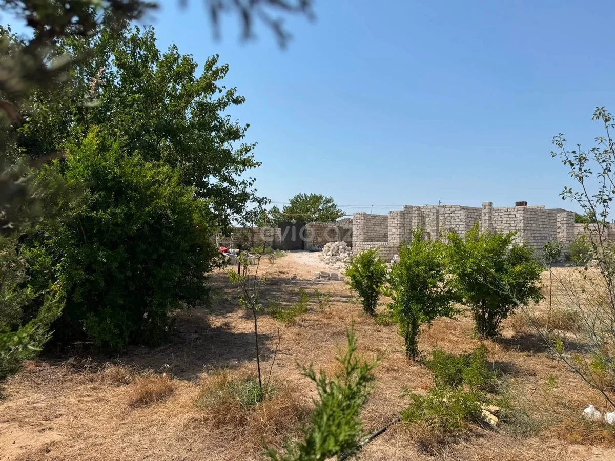 3 otaqlı bağ evi satılır Türkan qəsəbəsində — Ev, villa, Bakı (11)