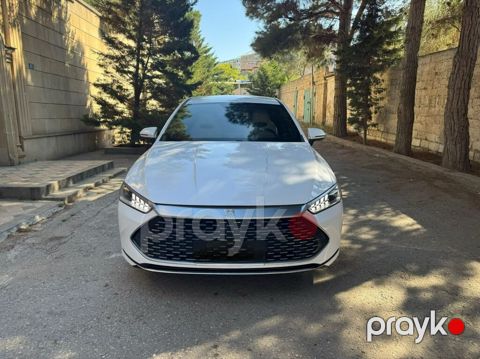 BYD Qin Plus: 1.5 l 2024 il 192300 km Sedan
