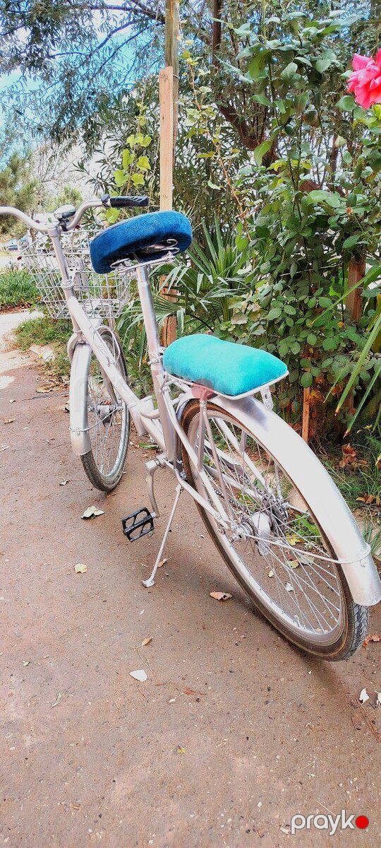 Velosiped — Velosipedlər, Bakı (4)