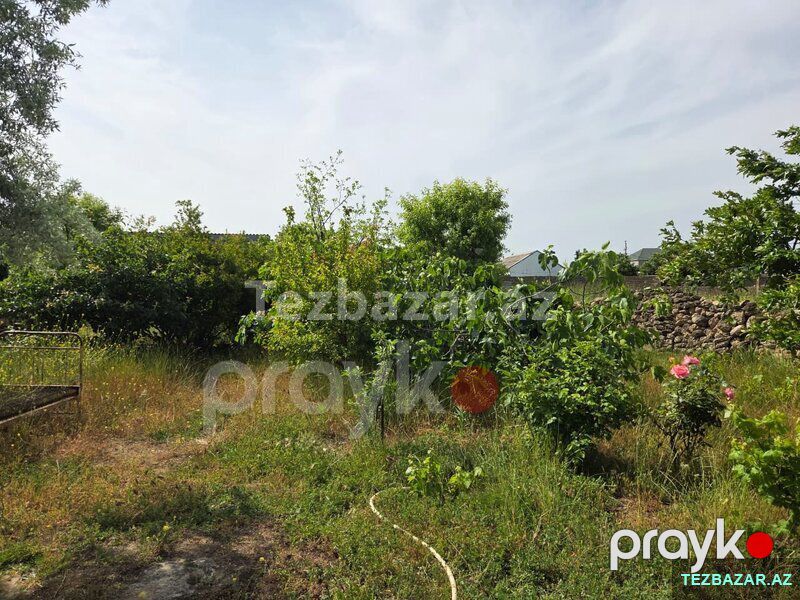 visnovkada 6 sot torpaq — Torpaq, Bakı (2)