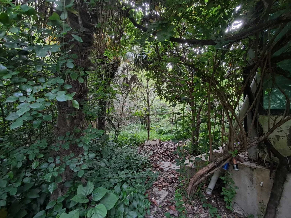 7 otaqlı bağ evi satılır Zabrat qəsəbəsində — Ev, villa, Bakı (6)