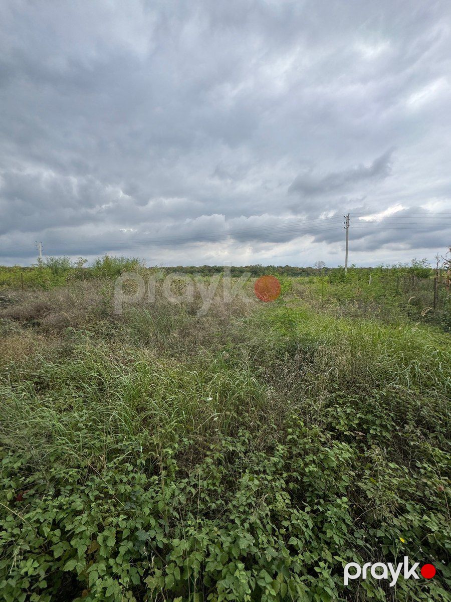 5 sot torpaq sahəsi, Qusar ş — Torpaq, Qusar (4)