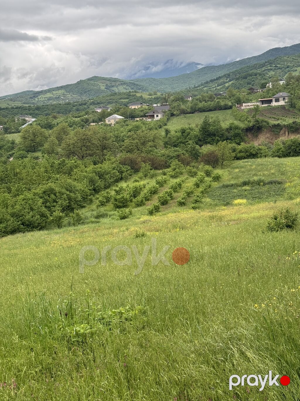 80 sot, Kənd təsərrüfatı, Mülkiyyətçi, Kupça (Çıxarış), Bələdiyyə — Torpaq, Quba (5)
