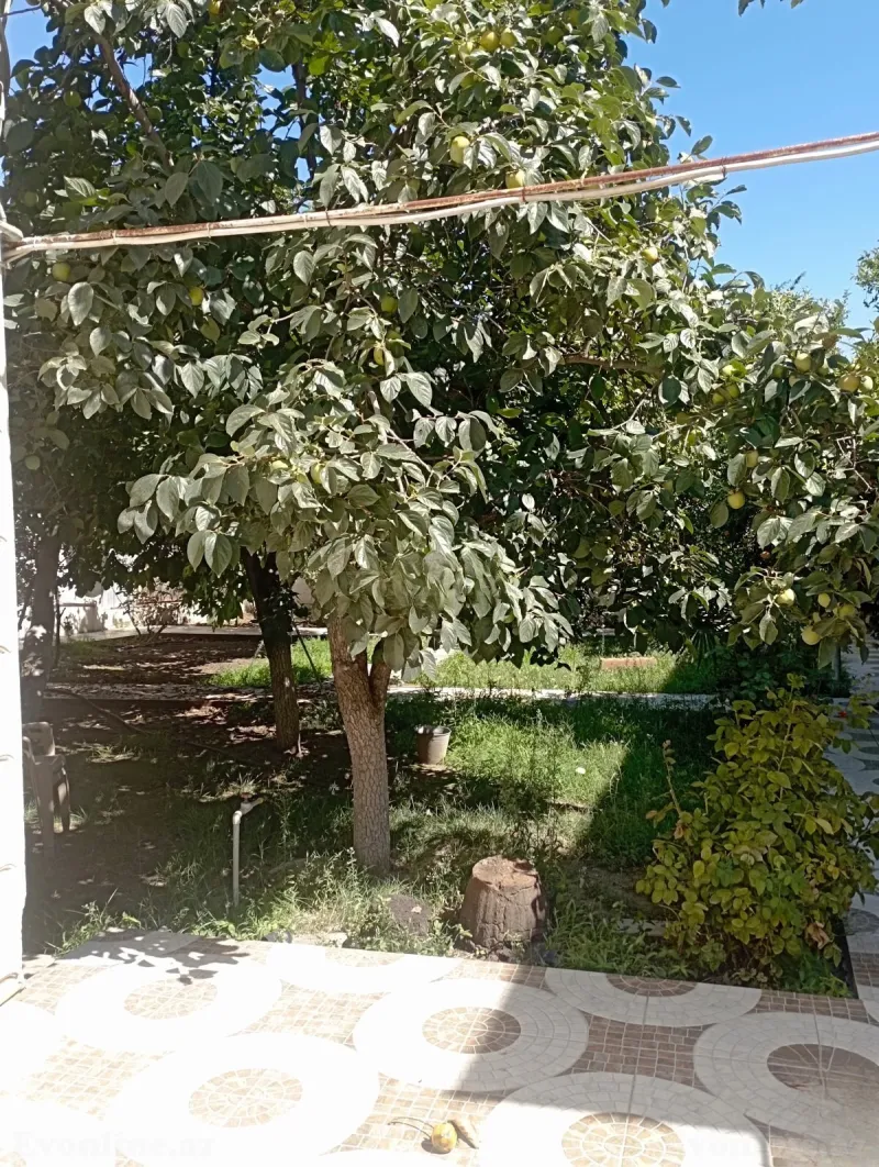 Kirayə verilir 6 otaqlı Həyət evi 300 m² Bakı, Sabunçu r., Bakıxanov — Ev, villa, Bakı (3)