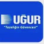 Dondurucular "Uğur" — Biznes və avadanlıq, Bakı (3)