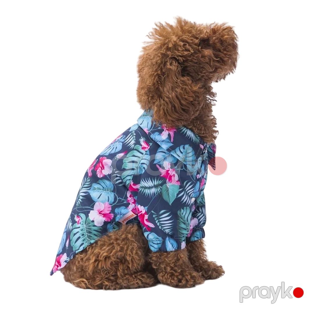 Köynək Floral Patterned itlər üçün, 2XL, rəngbərəng — Mallar, Bakı (2)