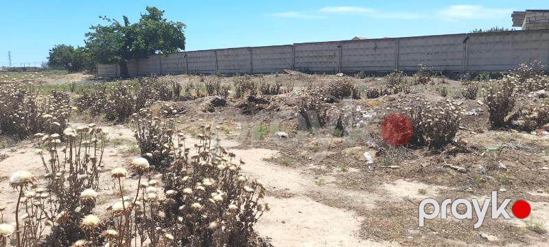 Satış: Torpaq, 12 sot, Sabunçu rayonu — Torpaq, Bakı (3)