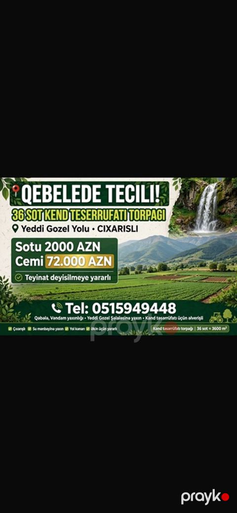 36 sot, Kənd təsərrüfatı, Kupça (Çıxarış) — Qəbələ