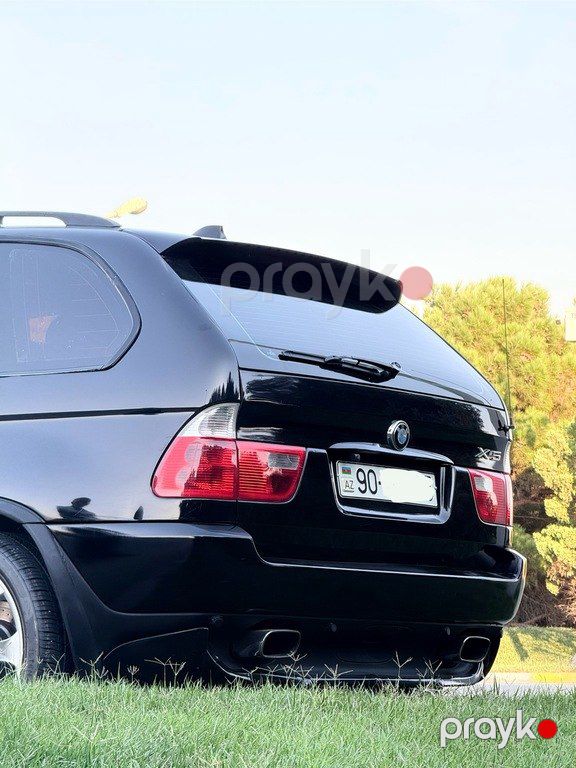 BMW X5, 4.4 L, 2003 il, 371 000 km — Avtomobillər, Bakı (11)