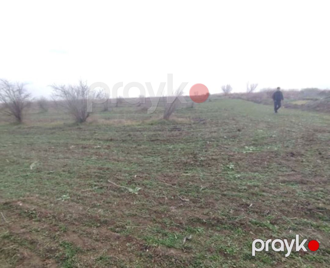 Satılır torpaq 4630.1 sot — Torpaq, Biləsuvar (3)
