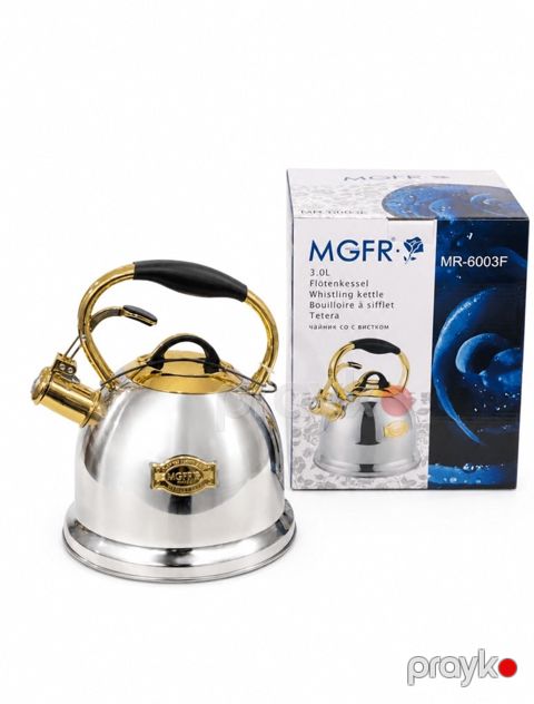 Çaydan MR-6003F, 3000 ml, nikel, gümüşü — Bakı