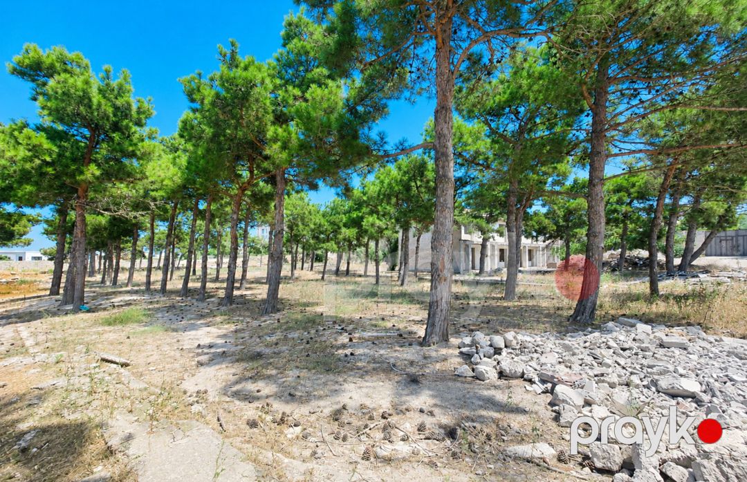 Satılır torpaq 126 sot — Torpaq, Bakı (6)