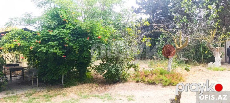 Torpaq Satılır Sabunçu r., Nardaran q., 31 sot — Torpaq, Bakı (2)