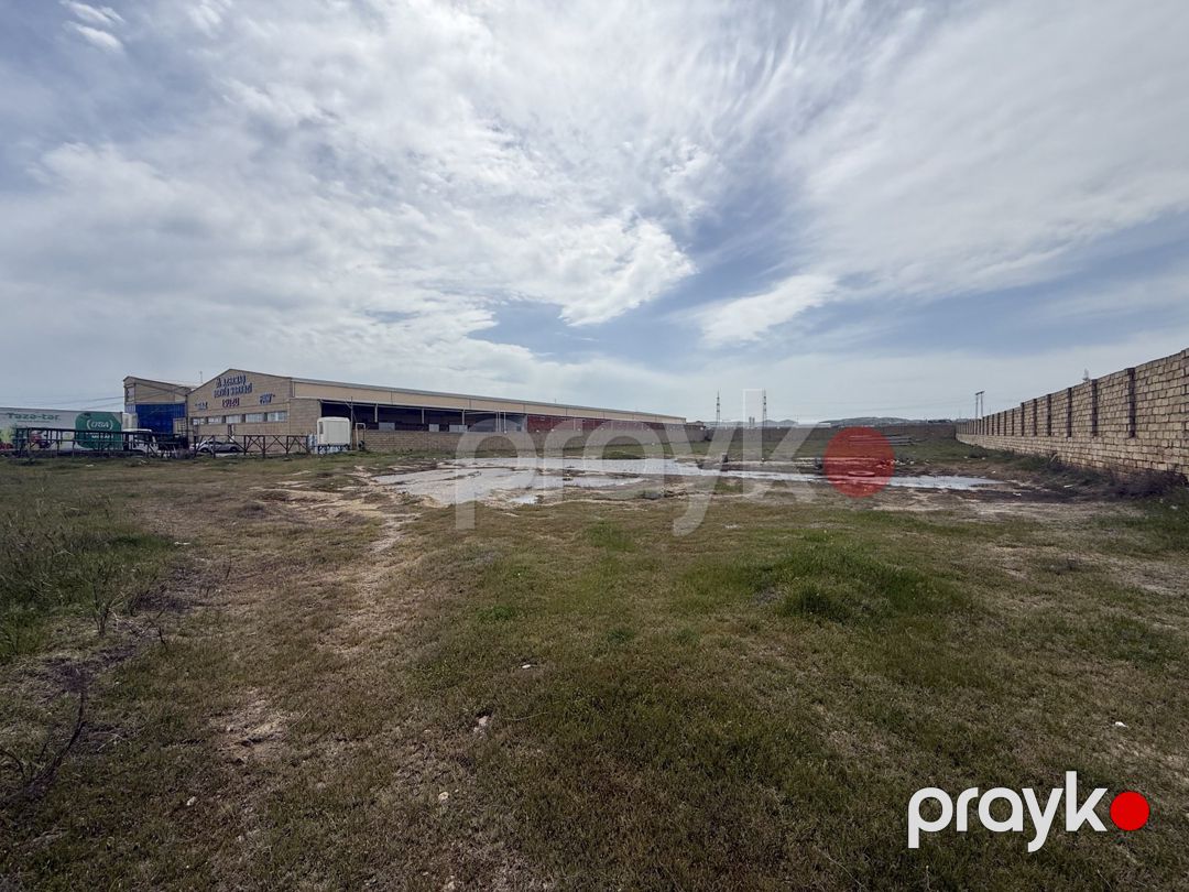 Satılır torpaq 255 sot — Torpaq, Bakı (3)