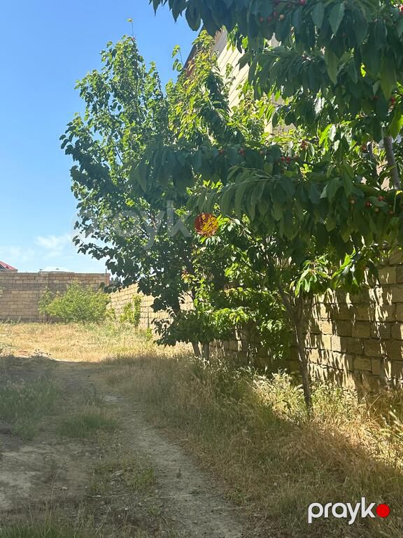 Satılır torpaq 6 sot — Torpaq, Bakı (6)
