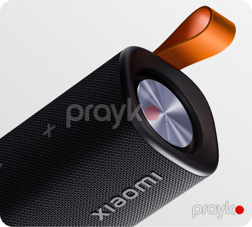 Xiaomi Sound Outdoor 30W — Səs texnikası, Bakı (4)