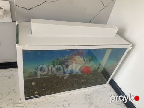 Dördbucaq akvarium, Balıqlarla birlikdə, 20 l, Ünvandan götürmə, Ödənişli çatdırılma — Digah