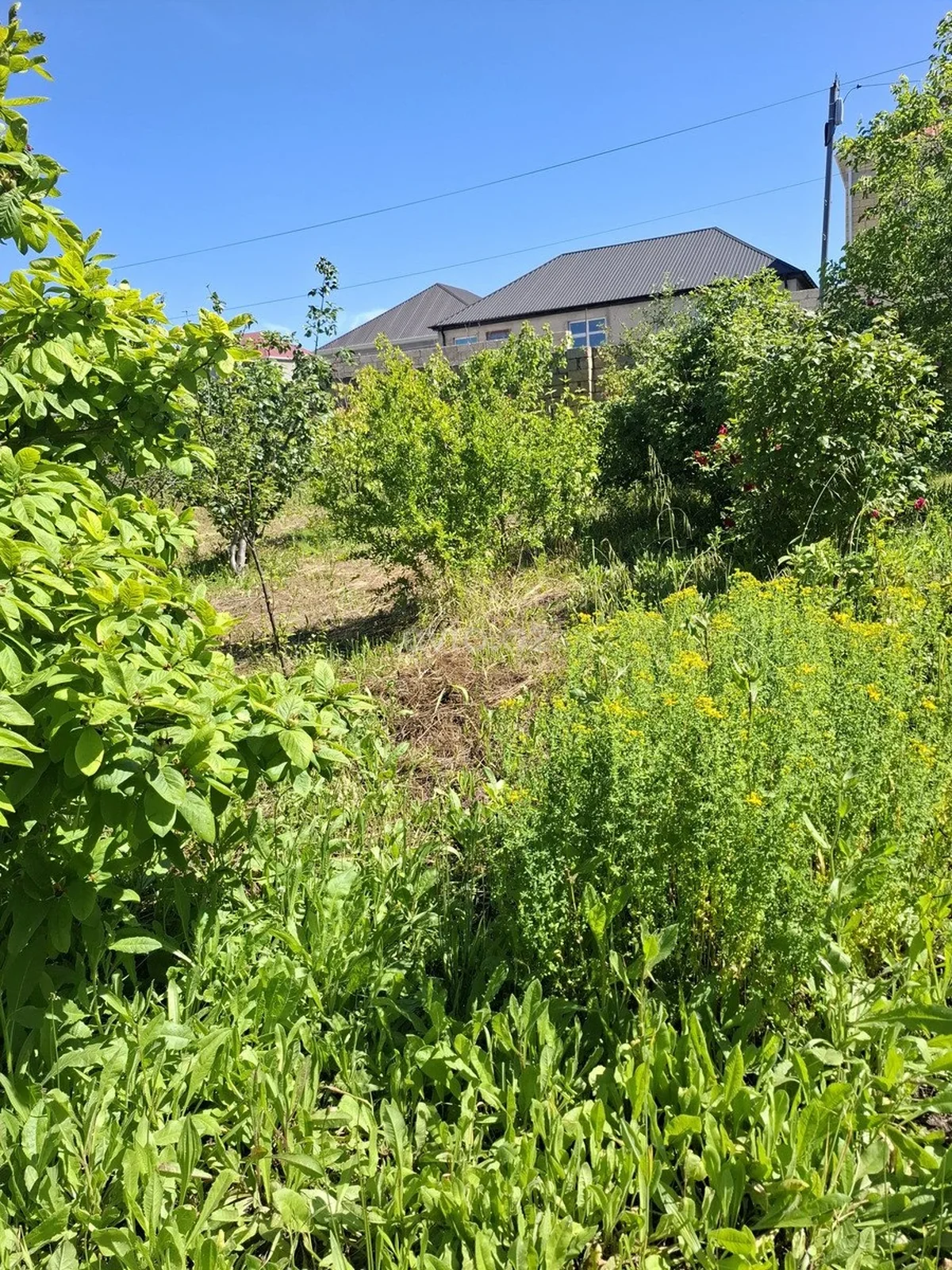 Torpaq sahəsi satılır Müşfiqabad qəsəbəsində — Bakı