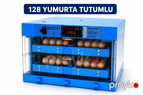 Avtomatik inkubator Expert, mavi — Bakı