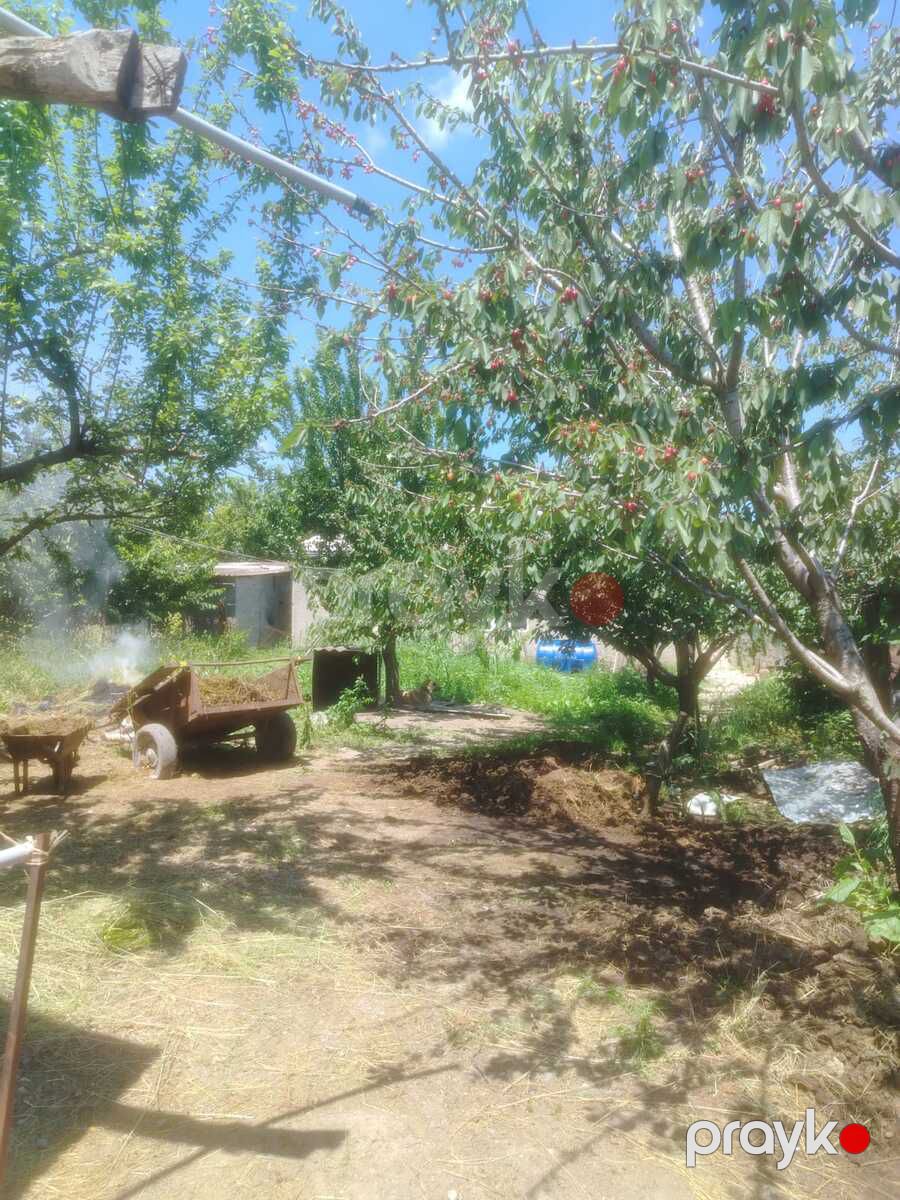 Satılır 3 otaqlı həyət evi/bağ evi 112 m² — Ev, villa, Quba (3)