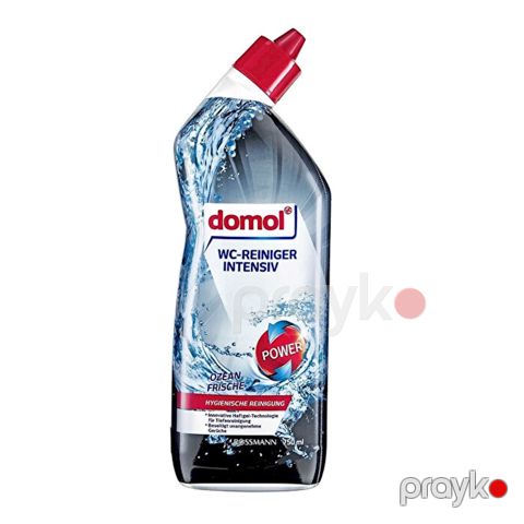 Unitaz təmizləyici vasitə Domol Intensive, 750 ml — Bakı