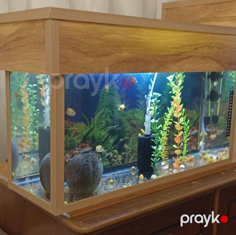 Akvarium 60*20*30h,iki qapagı var,fon var.sex akvariumun — Bakı