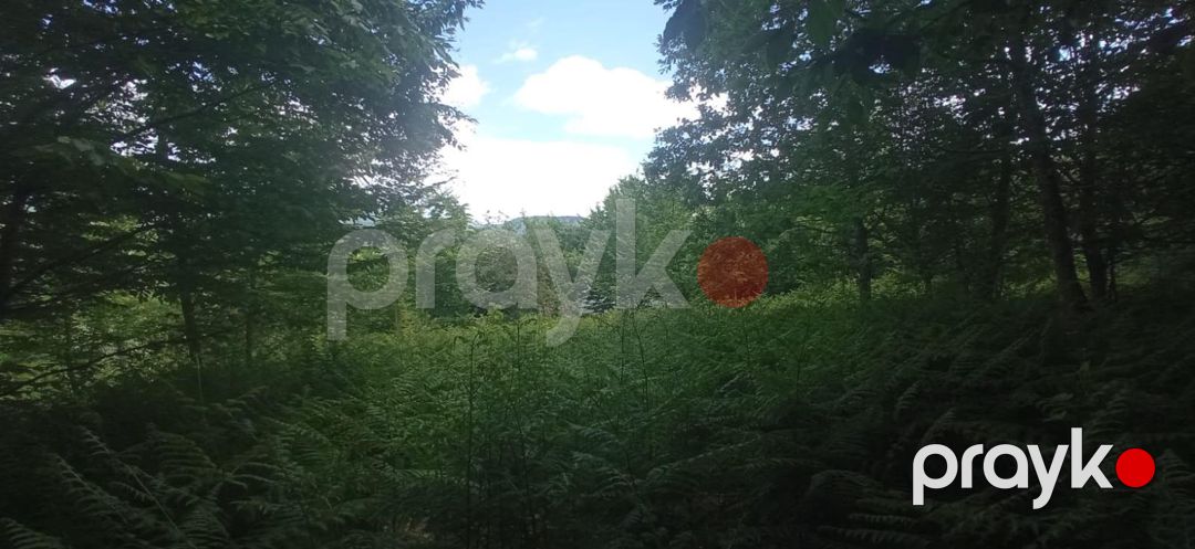 12 sot torpaq sahəsi, İsmayıllı r — Torpaq, İsmayıllı (5)