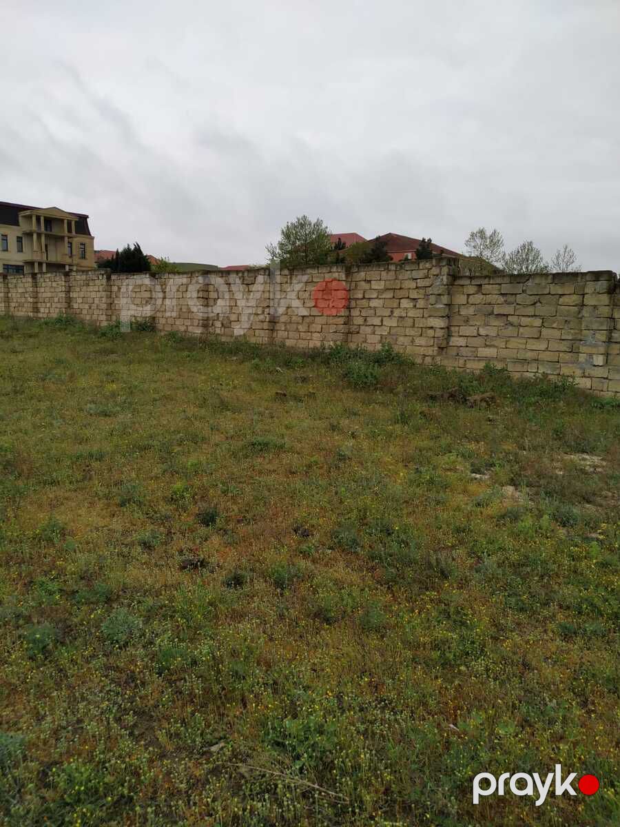 Satılır torpaq 32 sot — Torpaq, Bakı (6)