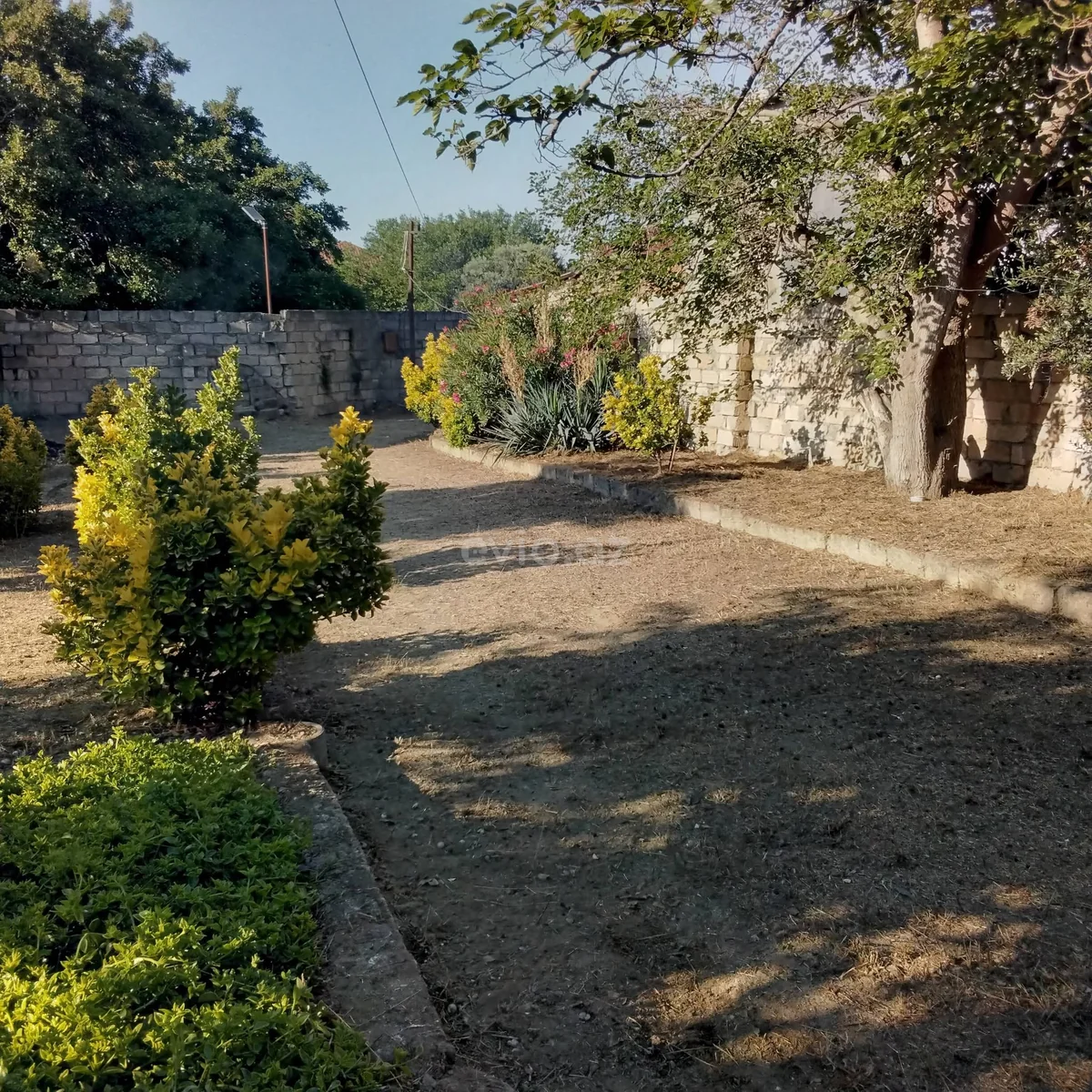 Torpaq sahəsi satılır Novxanıda — Torpaq, Abşeron (3)