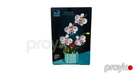 Blok konstruktor Orxideya Çiçəyi, 355 element — Bakı