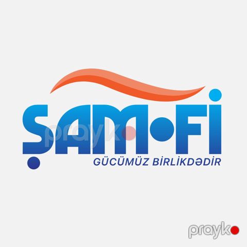 Aparıcı Mühasib
