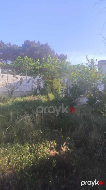 Satılır torpaq 26 sot — Torpaq, Bakı (3)