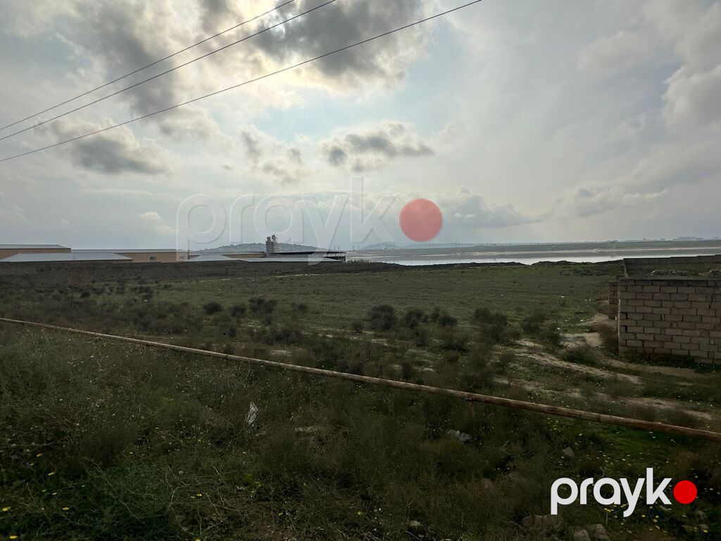 100 sot torpaq sahəsi, Novxanı qəs — Torpaq, Bakı (5)
