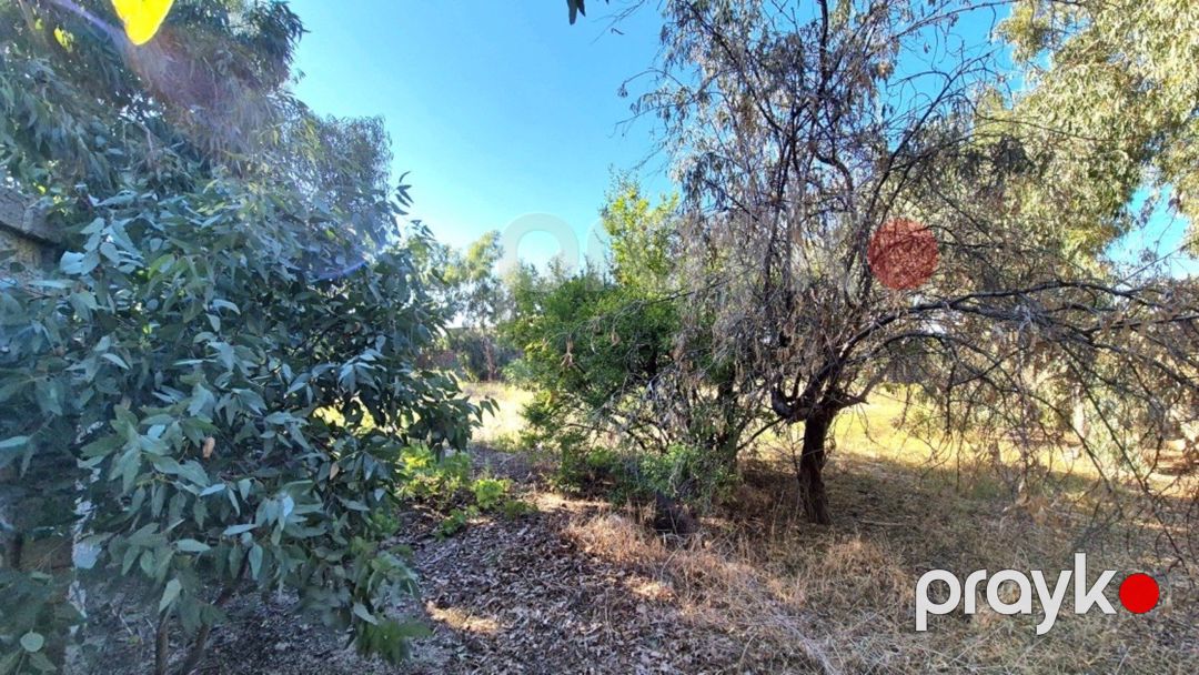 Satılır torpaq 15 sot — Torpaq, Bakı (3)