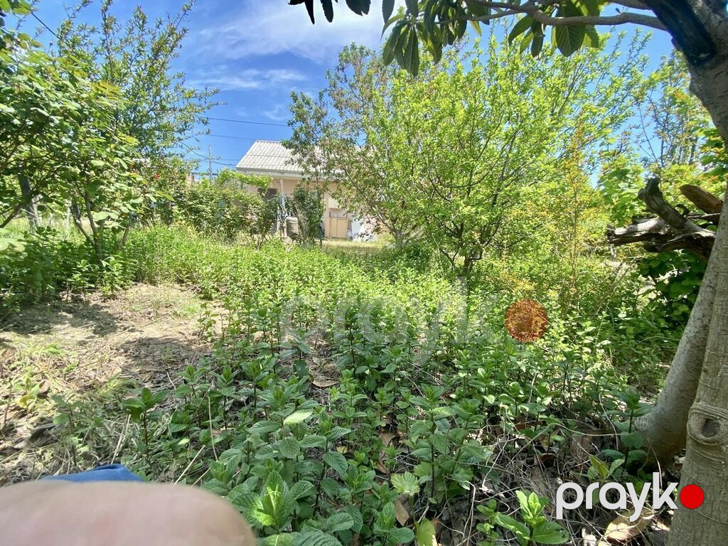 6 sot, Tikinti, Kupça (Çıxarış) — Torpaq, Digah (8)