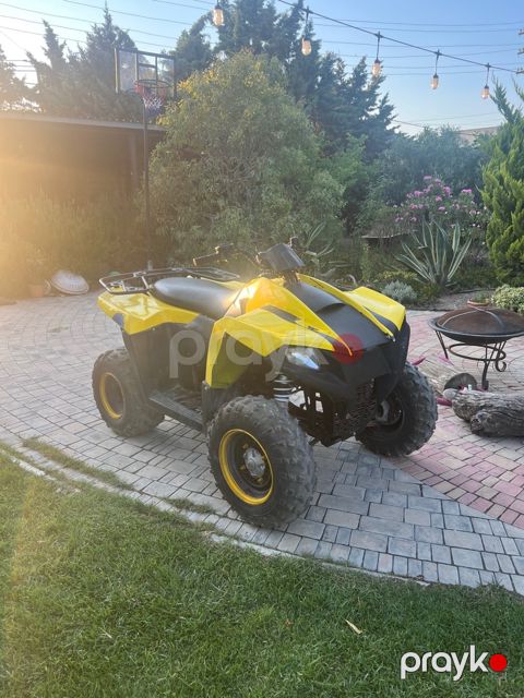Kvadrosikl Polaris Blazer 350, 2013 il — Bakı