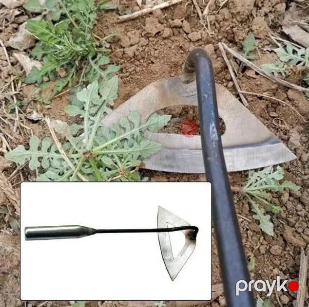 Bağ xəkəndazı gül əkmək üçün, metal prl_0333 — Mallar, Bakı (2)
