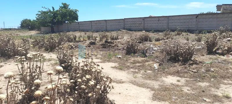 Satılır: Torpaq, Sabunçu r., 12.00 sot — Torpaq, Maştağa (3)