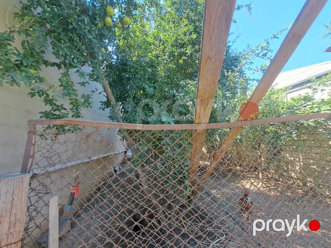 Satılır 4 otaqlı həyət evi/bağ evi 150 m² — Ev, villa, Bakı (11)